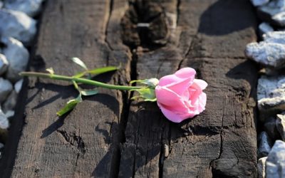 Los sucidios aumentaron en la Rioja un 100% en los últimos 6 meses